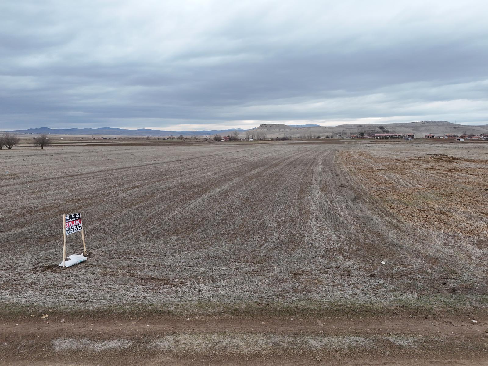 MERKEZ GEBECELER 4.000 M2 TARLA