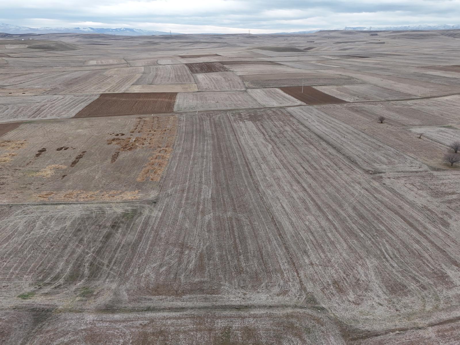 MERKEZ GEBECELER 4.000 M2 TARLA