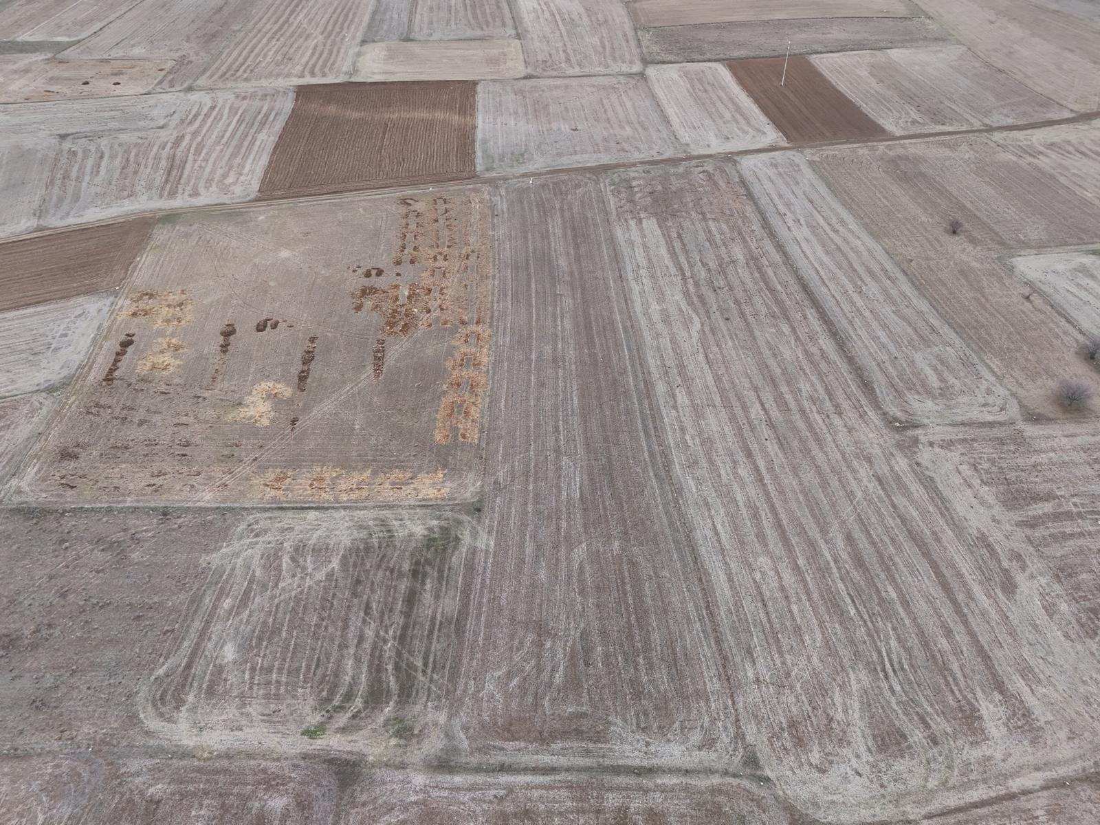 MERKEZ GEBECELER 4.000 M2 TARLA