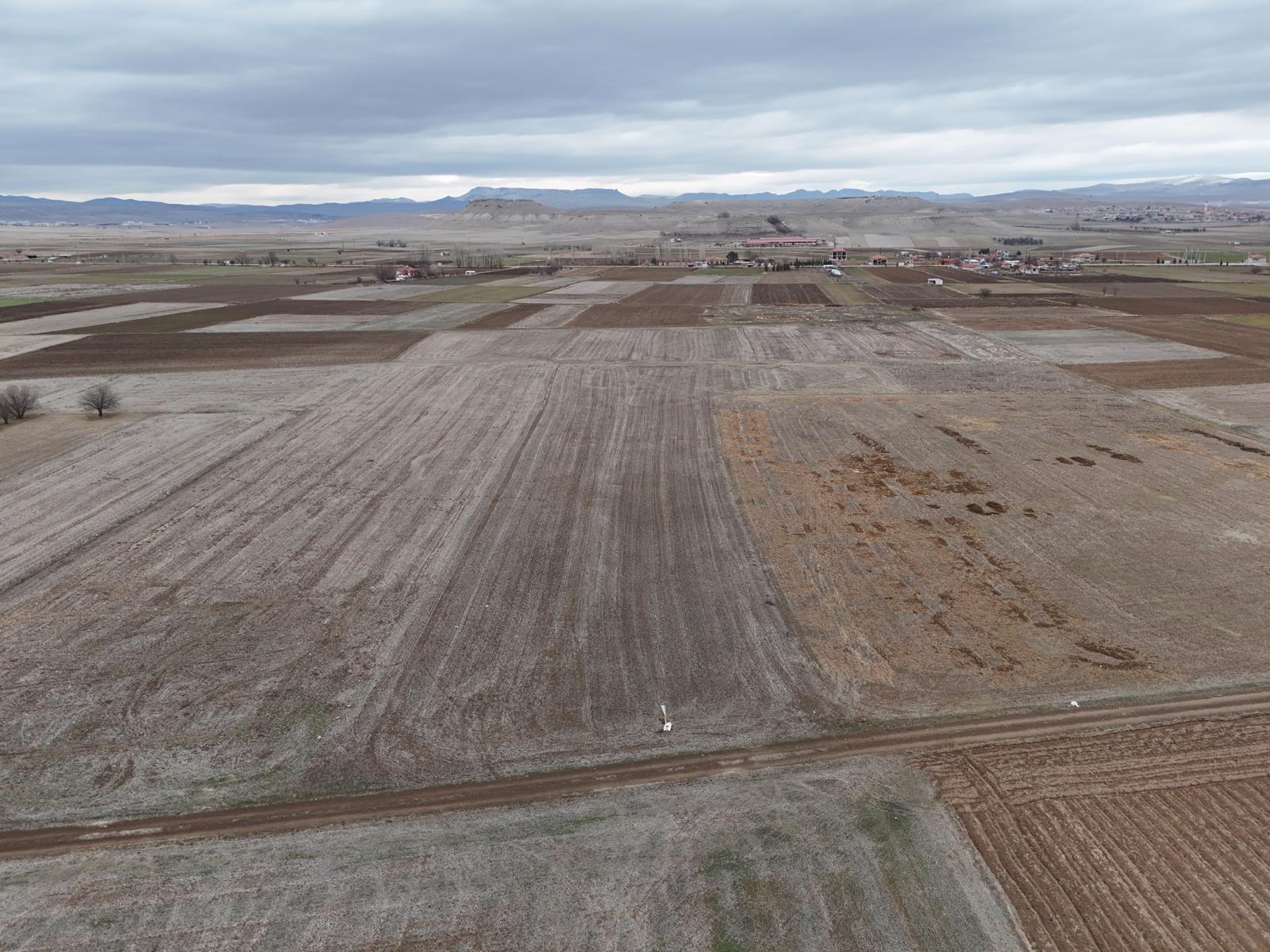 MERKEZ GEBECELER 4.000 M2 TARLA